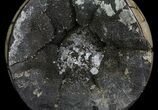 Bargain, Septarian Dragon Egg Geode - Black Crystals #64825-1